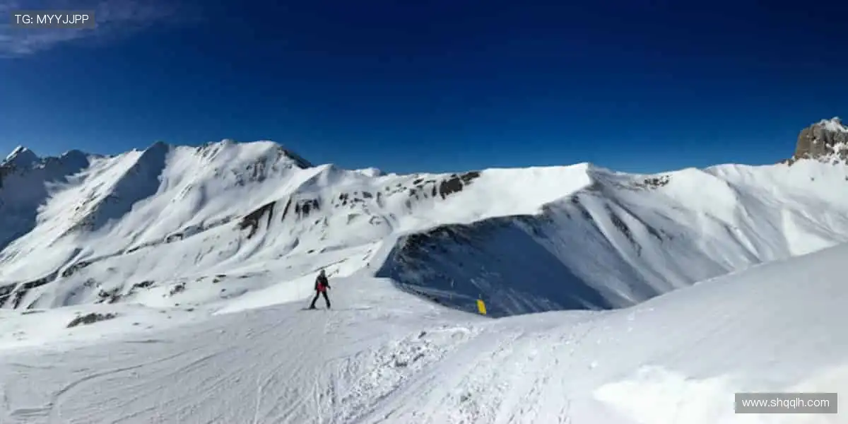 🛒球迷专属，热血助威！🎯球星同款，点燃你的热爱！